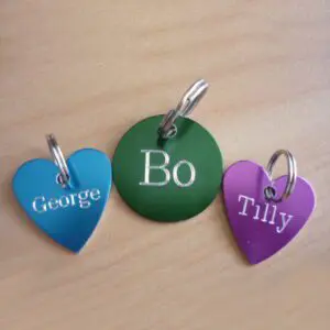 Custom Engraving of Trophies and Gifts engraved pet tags