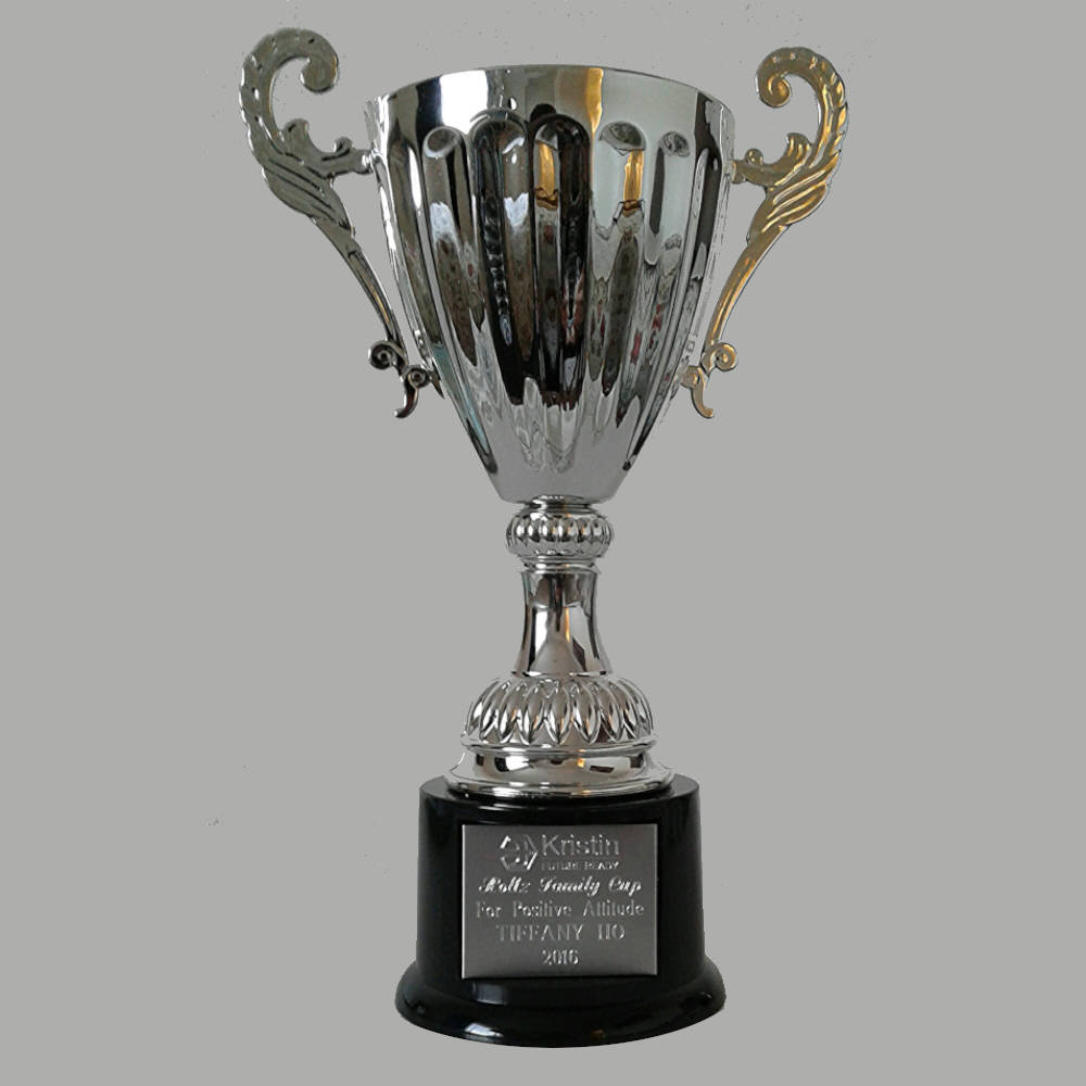 Engraved trophy cup