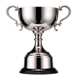 Custom Engraving of Trophies and Gifts Brighton Trophy Cup