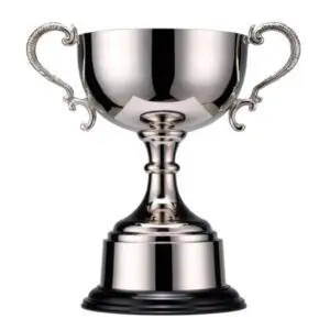 Custom Engraving of Trophies and Gifts Brighton Trophy Cup